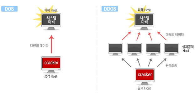 DoS 공격과 DDoS 공격의 차이